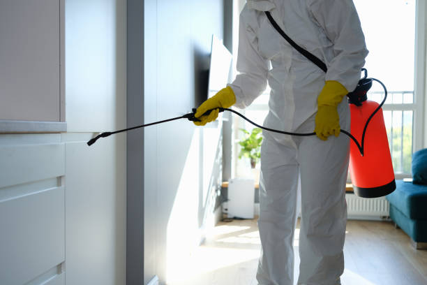 Best Commercial Mold Removal  in Churchill, MT