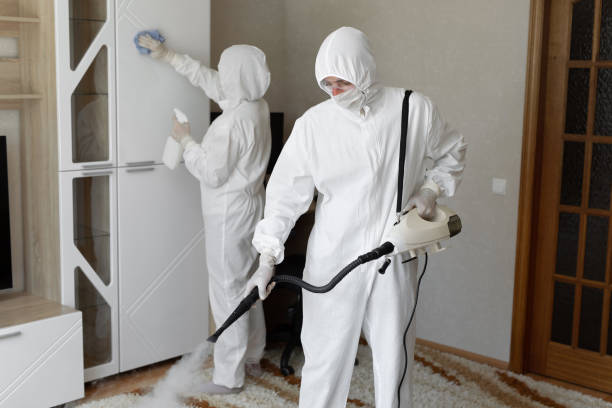 Best Mold Damage Repair  in Churchill, MT