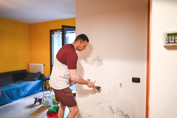 Best Mold Remediation  in Churchill, MT